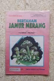 Bertanam Jamur Merang