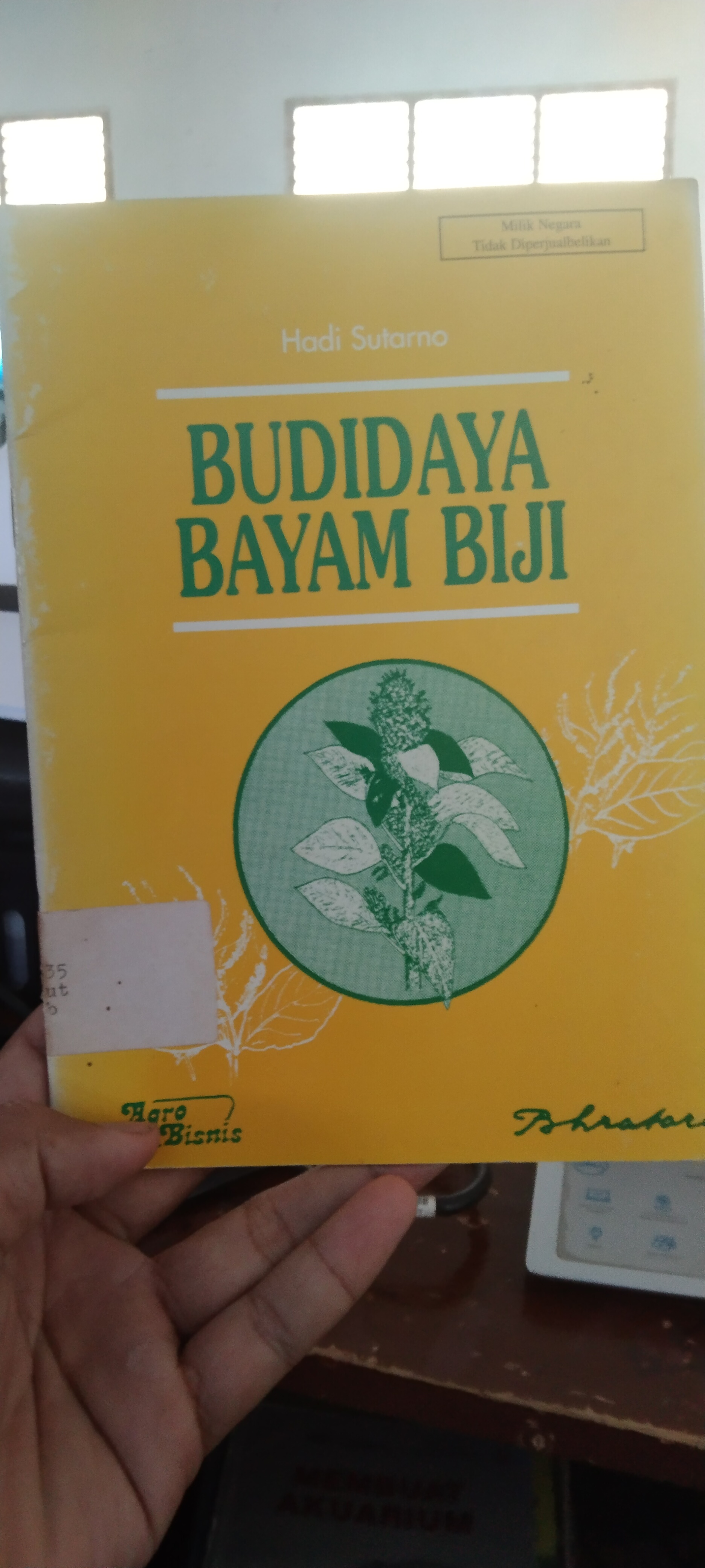 Budidaya Bayam Biji