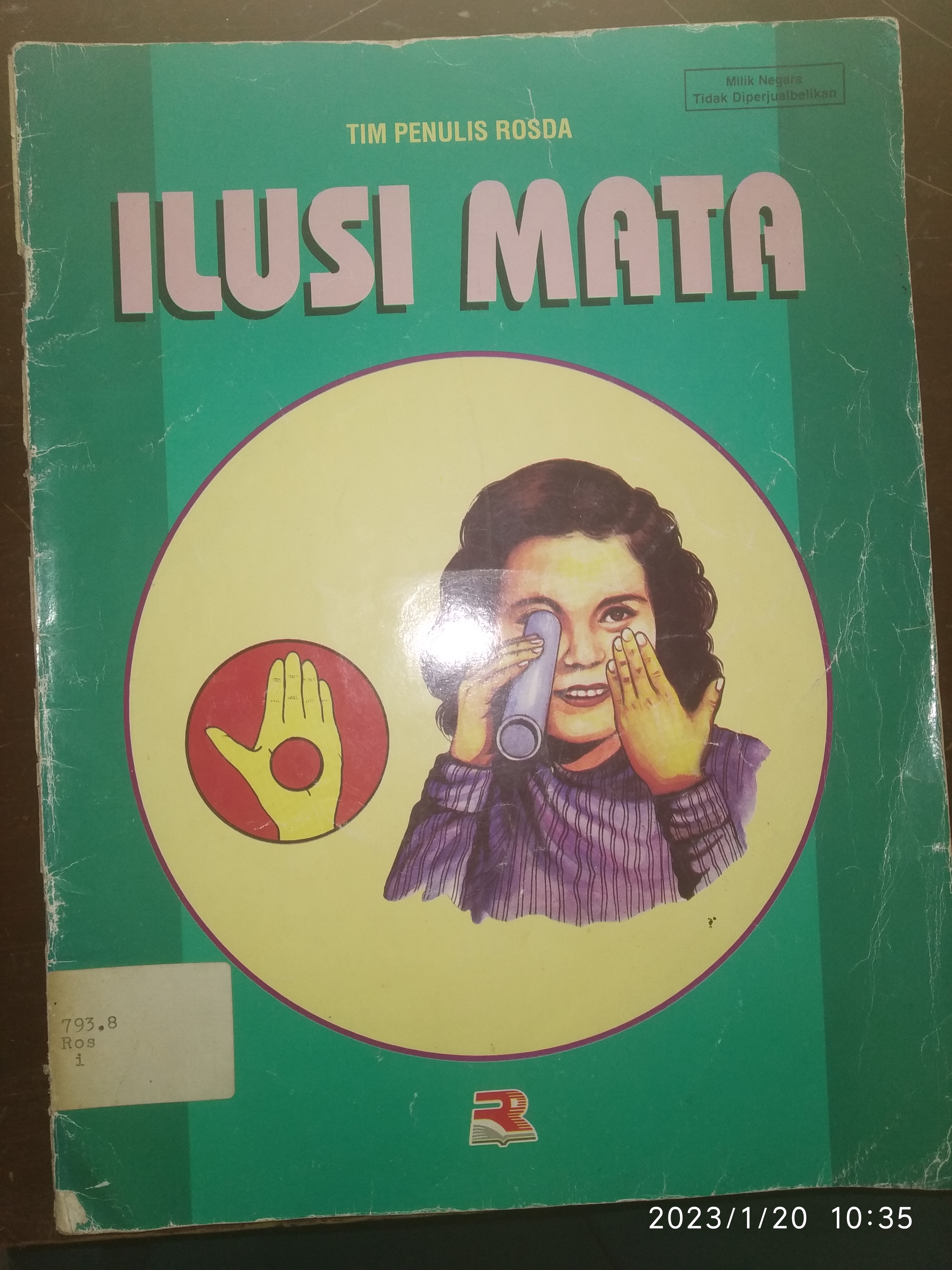 Ilusi Mata