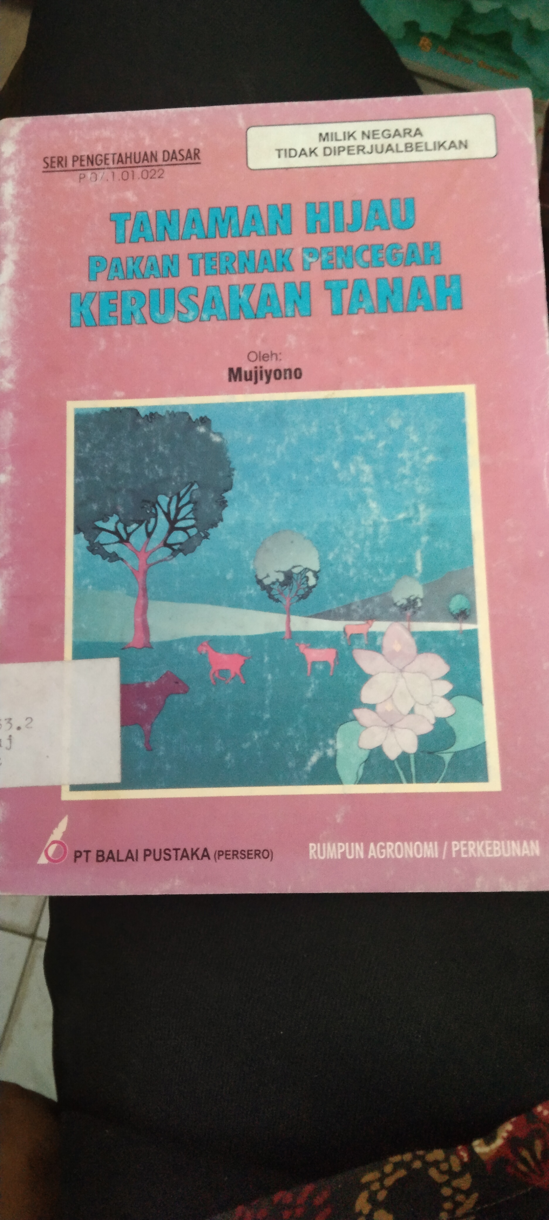 Tanaman Hijau Pakan Ternak Pencegah Kerusakan Tanah