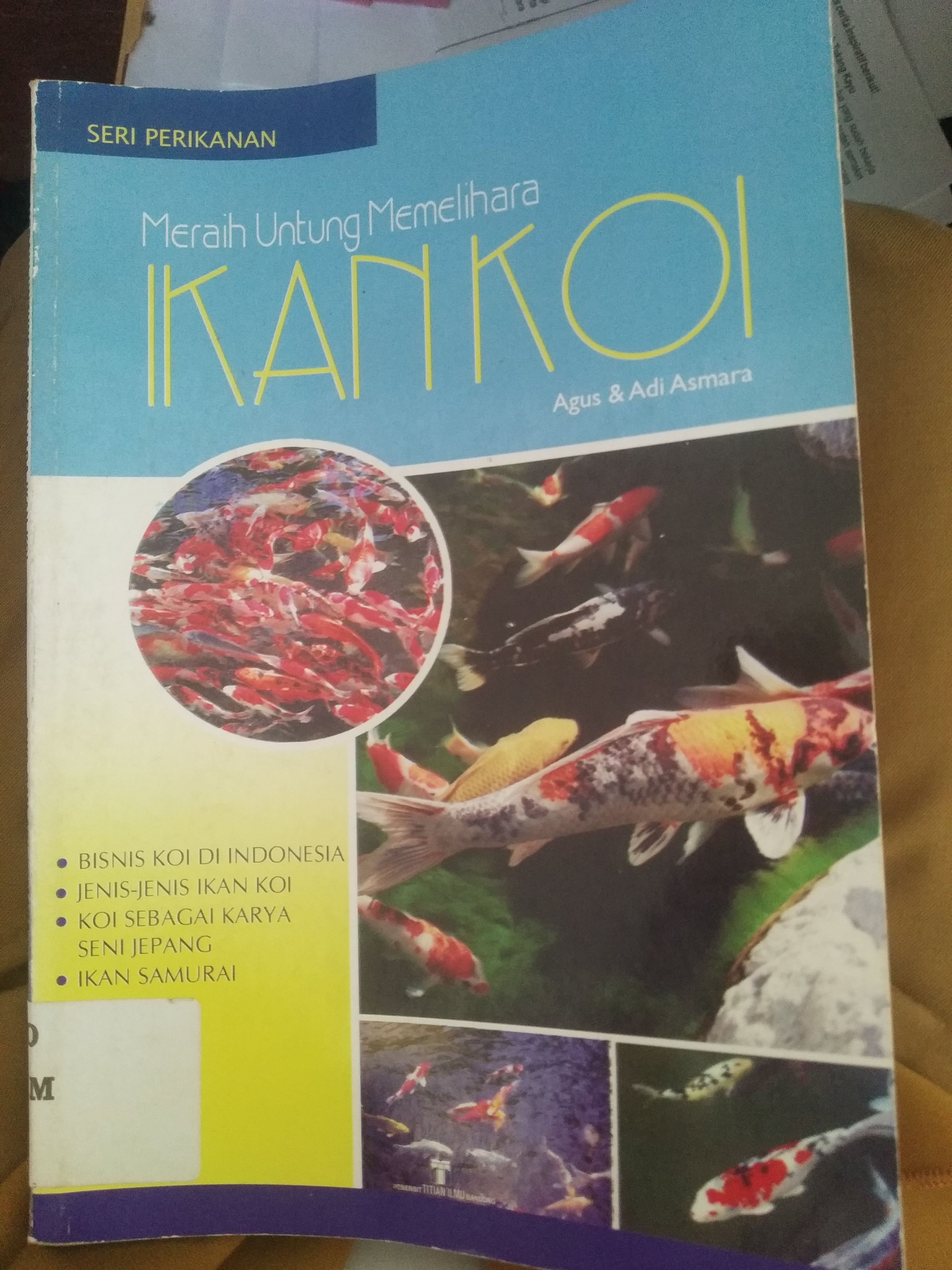 Meraih untung memelihara ikan koi