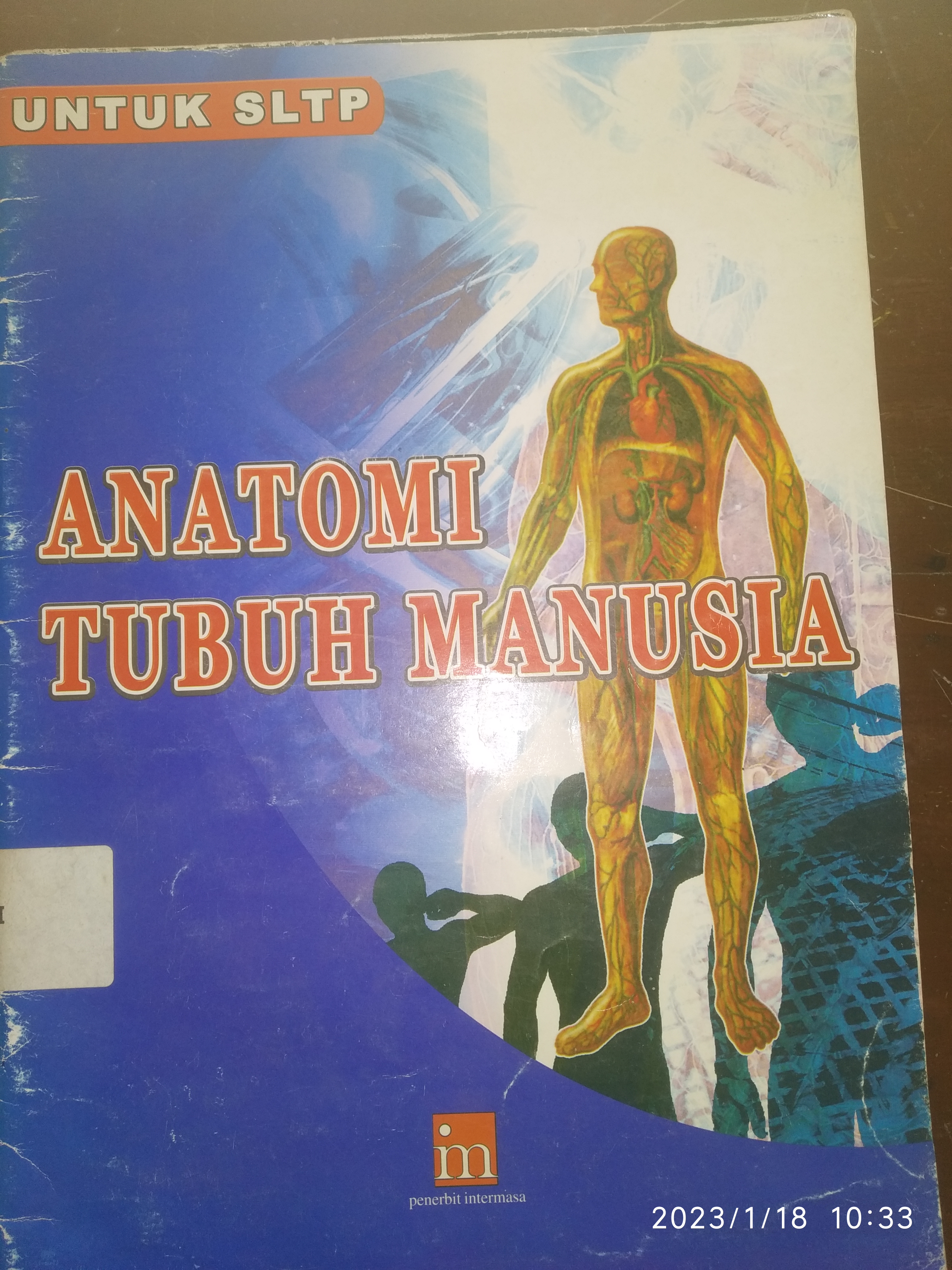 Anatomi Tubuh Manusia