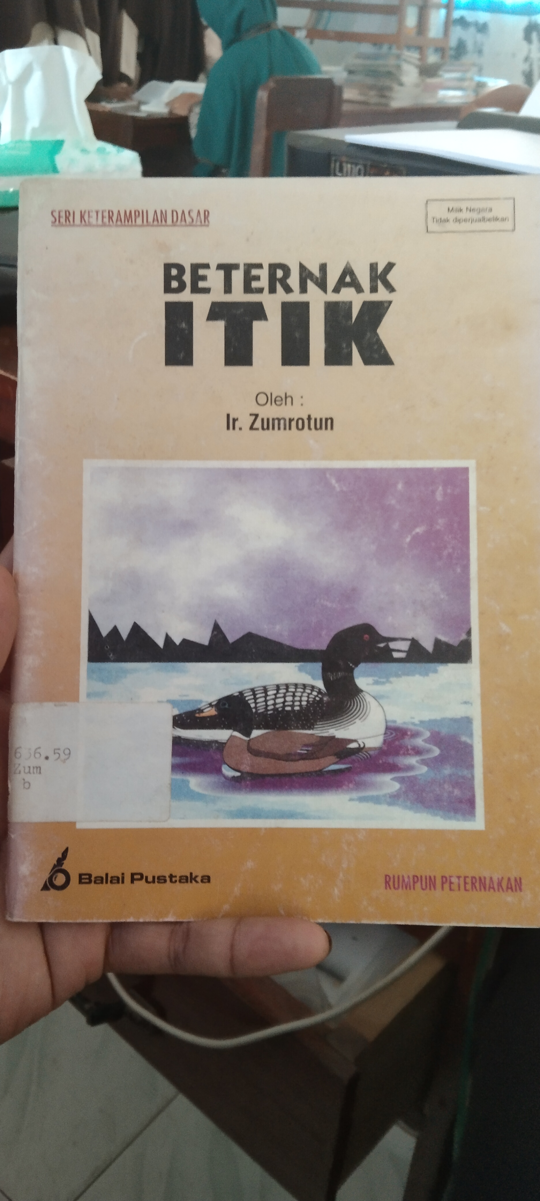 Beternak Itik