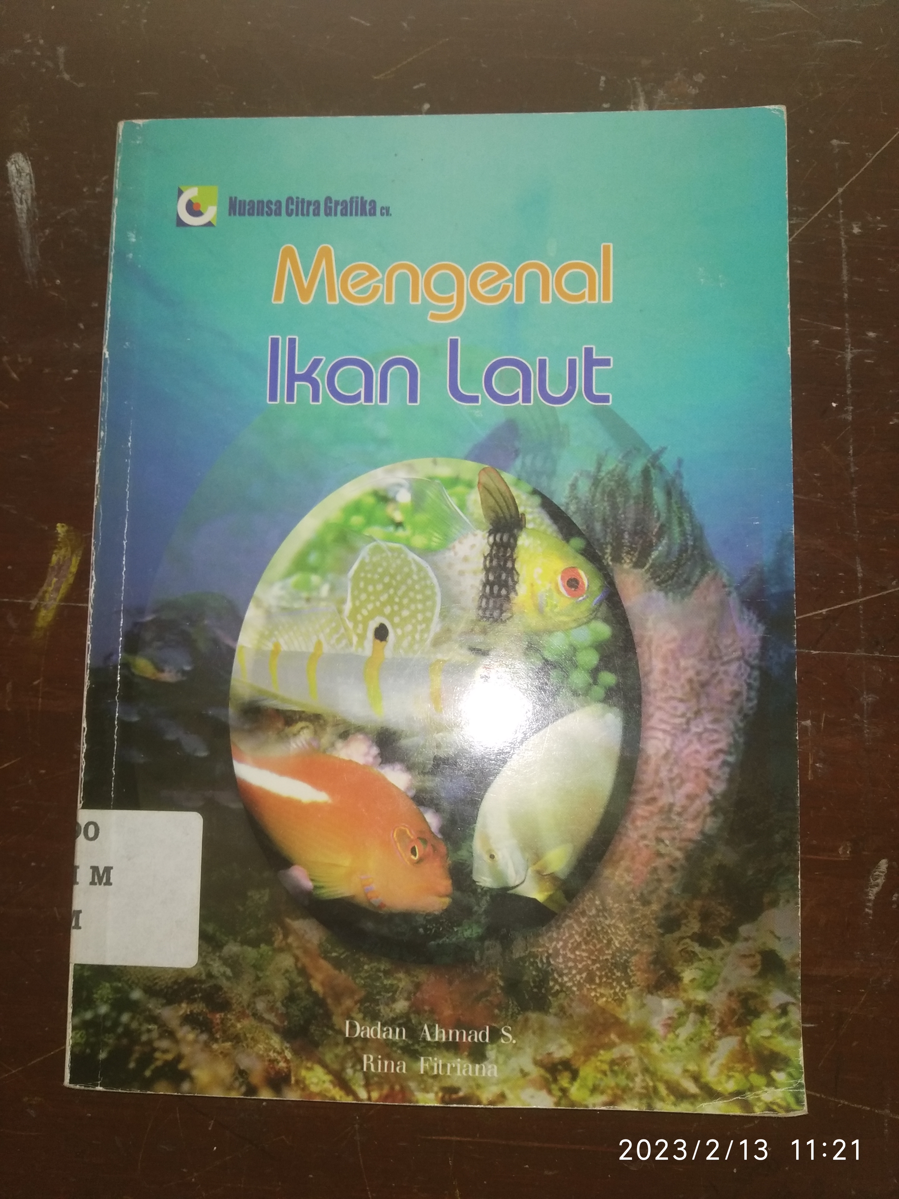 Mengenal Ikan Laut