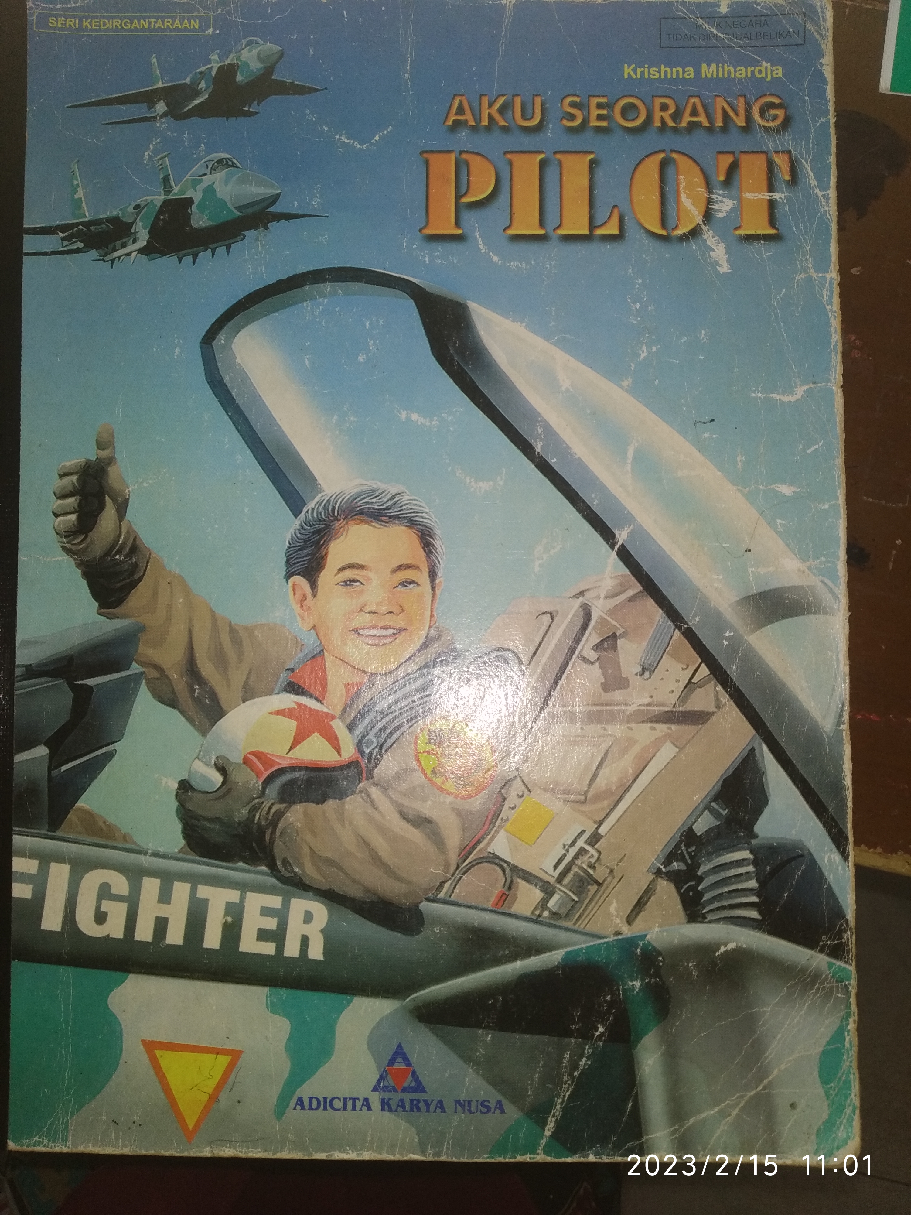 Aku Seorang Pilot